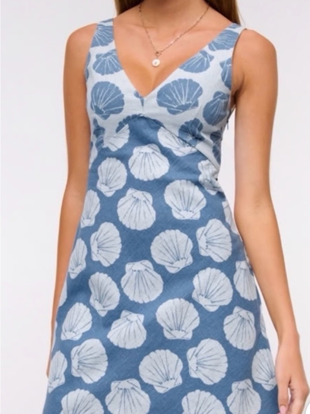 Abercrombie and Fitch Blue Shell Print V-Neck dress
